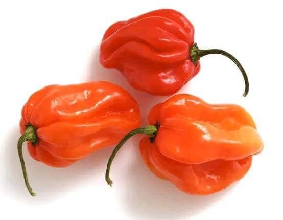 Fresh Pepper can reduce cancer risk