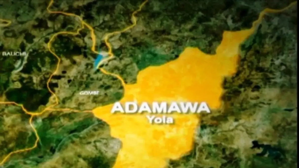 Adamawa council engages 100 vigilante members for community policing
