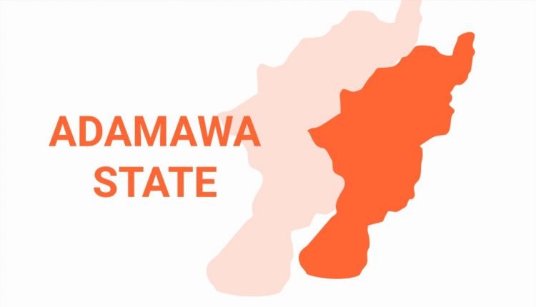 NGO donates 86 milling machines to vulnerable women in Adamawa