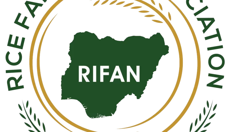 Nigeria to begin rice export to Egypt, as RIFAN, Tiamin sign MoU