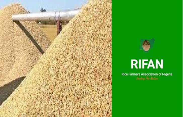 Nigeria to begin rice export to Egypt, as RIFAN, Tiamin sign MoU