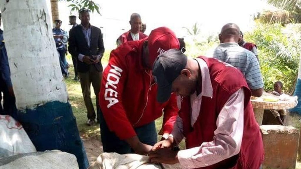NDLEA intercepts 338kg of psychotropic substance in Gombe