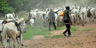 Tension in Abia community as herders allegedly invade people’s farms 