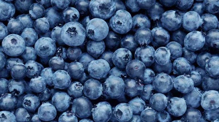 10 Fruits You Should Eat Every Week, According to a Dietitian