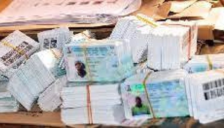 253,774 PVCs uncollected in Adamawa – INEC