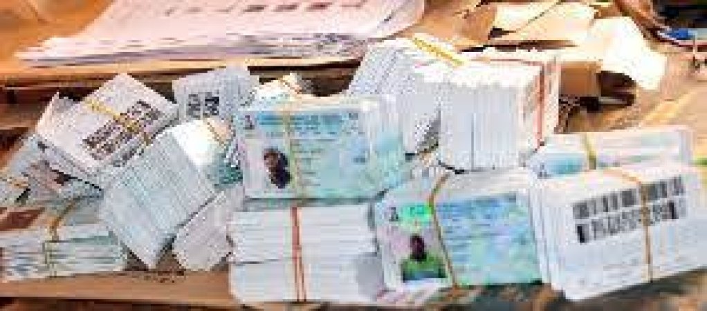 253,774 PVCs uncollected in Adamawa – INEC