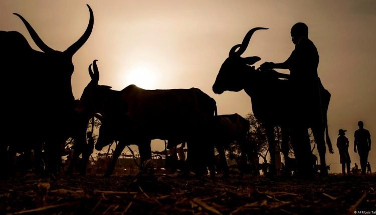 Crisis hits Oyo Cattle Dealers’ association over chairman’s purported removal