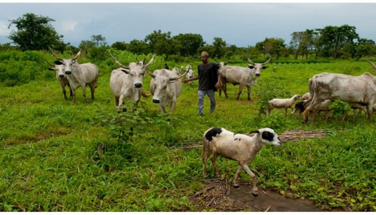 Delta identifies 35 flashpoints of illegal cattle grazing
