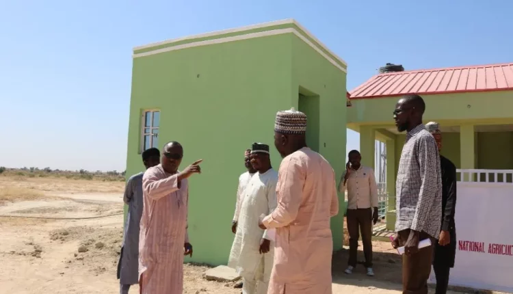 NALDA establishes animal husbandry farm in Sokoto State