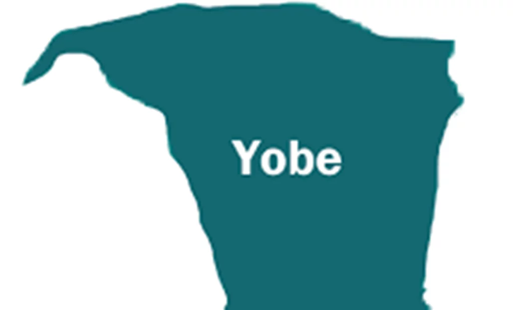 Buni approves free surgeries for indigent 850 patients in Yobe