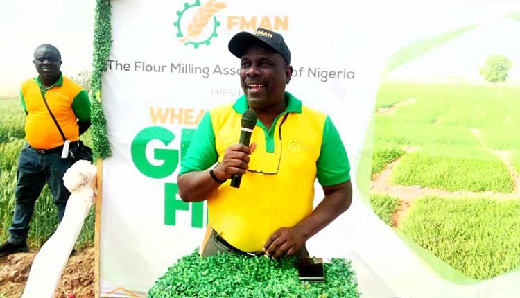 Over 50,000 wheat farmers to benefit from FMAN’s yield support in 13 states