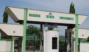 KASU female professor secures N34.7 million research grant from TETFund