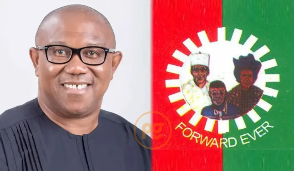 Presidential election: Appeal Court affirms Peter Obi’s candidacy