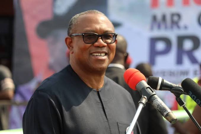 Why the Northeast will vote Peter Obi on Saturday- LP Chieftain.