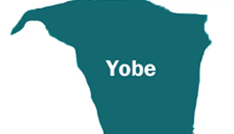 Yobe stakeholders advocate upgrade of LGs information unit to department