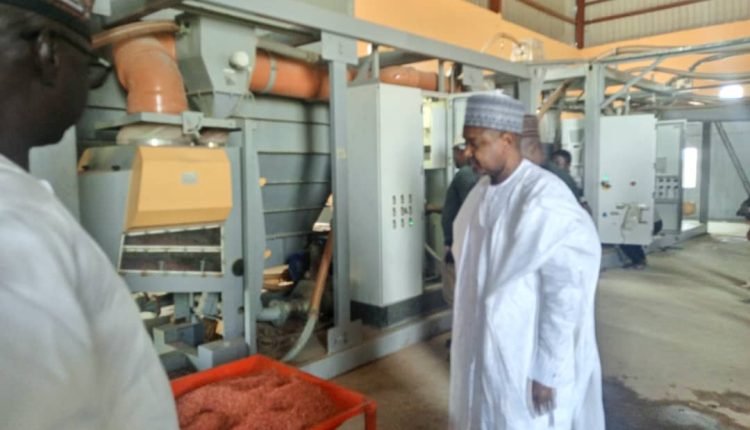 Kebbi Flour Mill commences operation