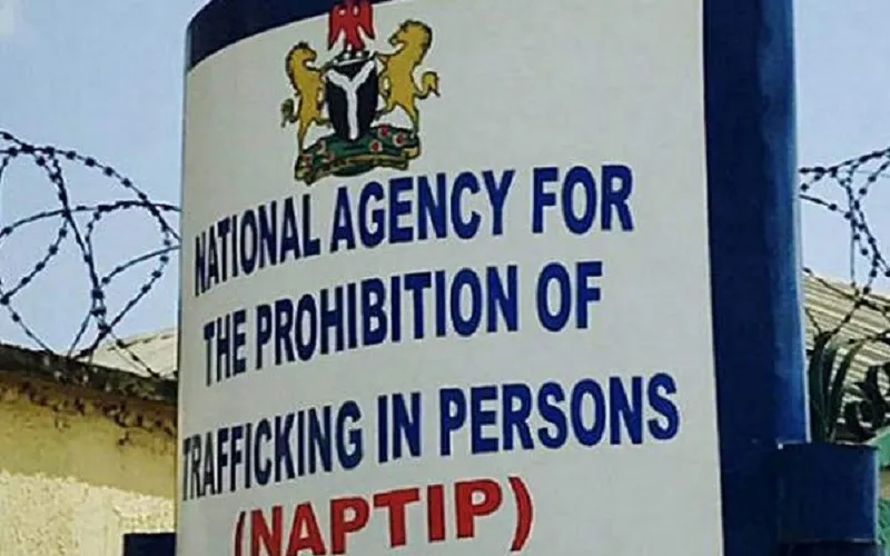 NAPTIP to clamp down on beer parlours, restaurants that harbour children