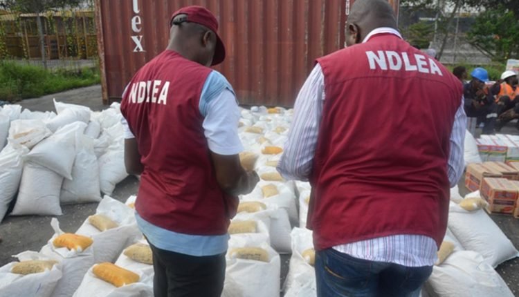 NDLEA seizes 1,112 kg of cannabis sativa, apprehends suspect in A’Ibom