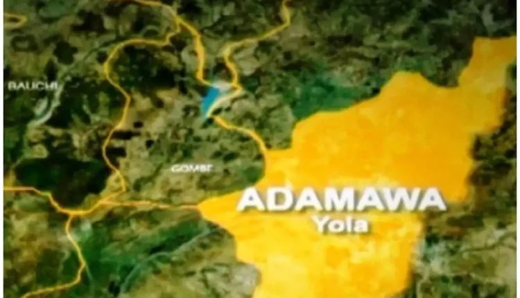 Group canvasses peaceful supplementary poll in Adamawa