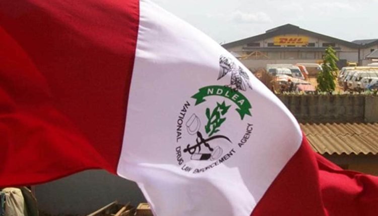 Group partners FRSC, NDLEA to tackle drug abuse by drivers