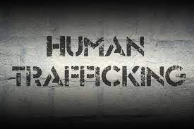NACTAL Commends FG Over National Action Plan On Human Trafficking. 