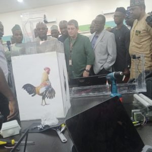 Nigeria to translate researches into commercialisation — TETFund
