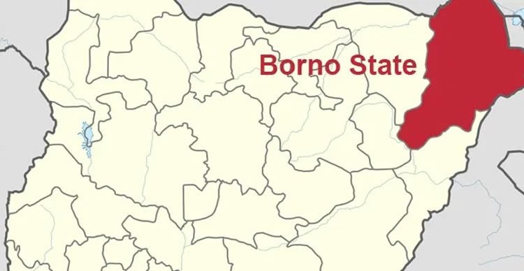 Borno:13,394 unemployed graduates registered in Hawul LGA – Chairman