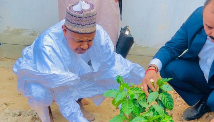 Kebbi govt allocates land for WACOT Rice Academy project