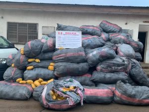 NDLEA seizes 8,852kg illicit drugs in Lagos