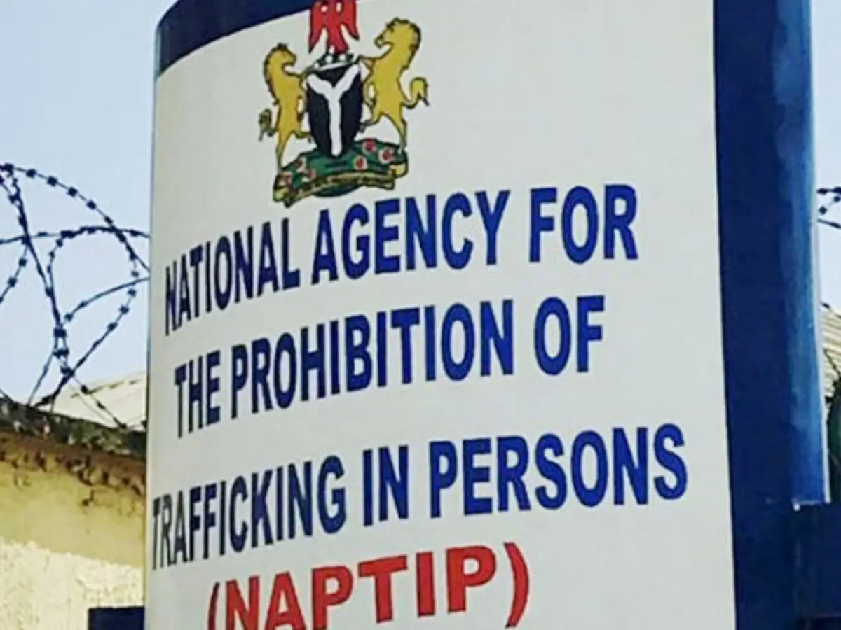 Nigerian women working in Iraq are exploited, says NAPTIP D-G