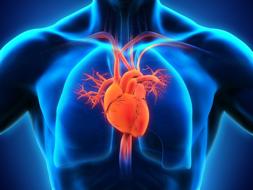 Heart failure affects over 64m people worldwide – Don