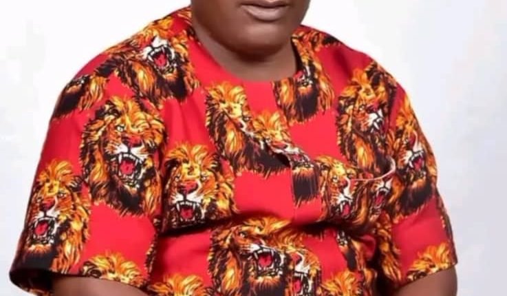 Odunwa emerges new Speaker of Ebonyi House of Assembly
