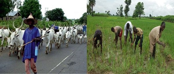 Scholars proffer solutions to persistent farmer-herder crisis in Nigeria