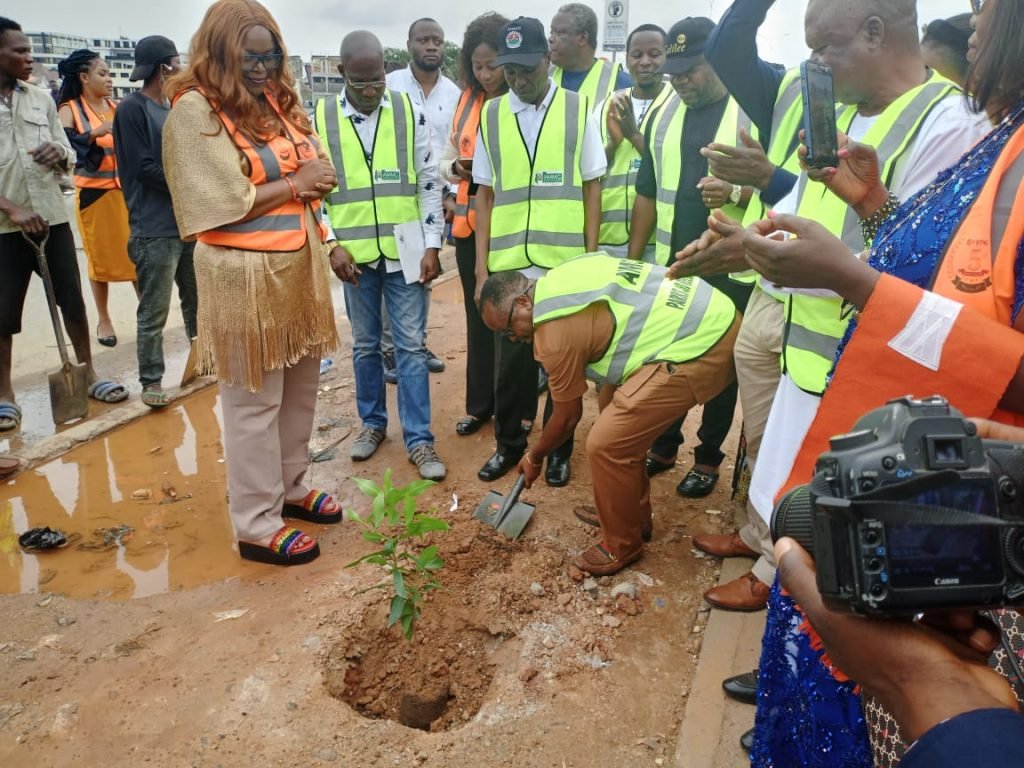 FCTA to remove trees destroying public infrastructure in Abuja – Official