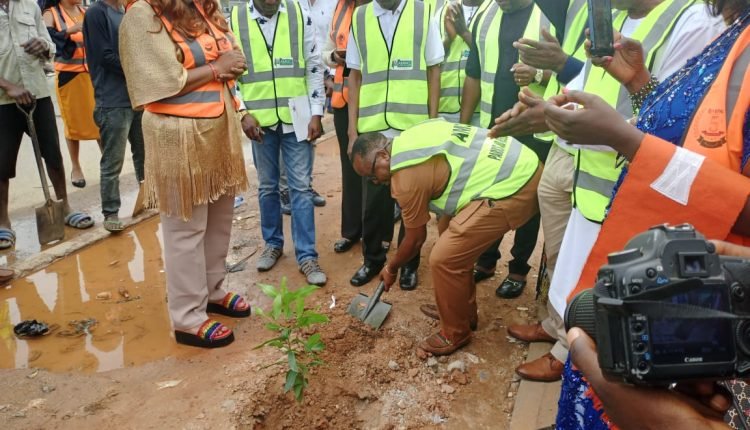 FCTA to remove trees destroying public infrastructure in Abuja – Official