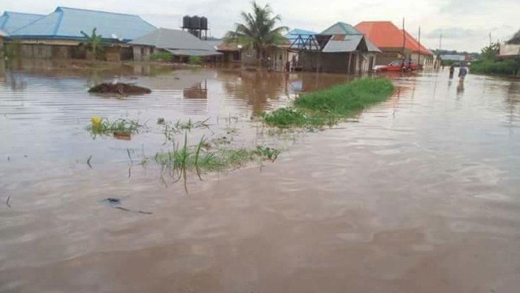 Flood: Yobe, Adamawa, Borno take steps to mitigate impact