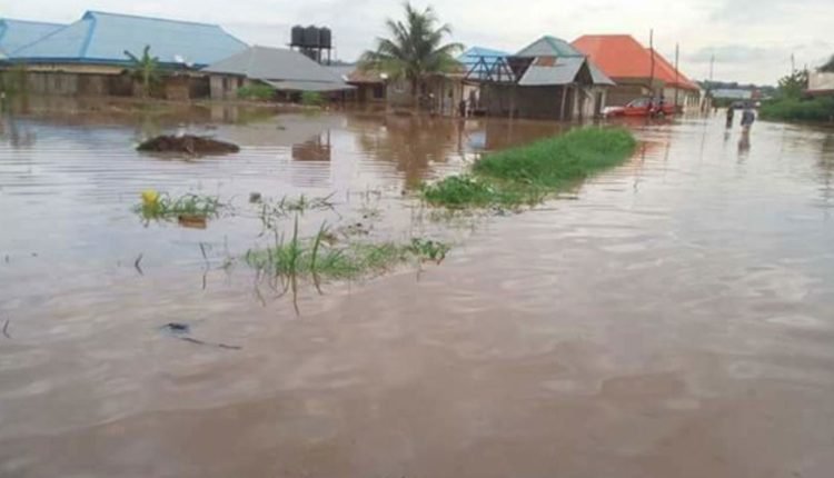 Flood: Yobe, Adamawa, Borno take steps to mitigate impact