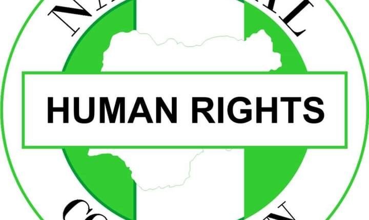 NHRC recorded 108 human rights violations in 7 months in Adamawa – Coordinator