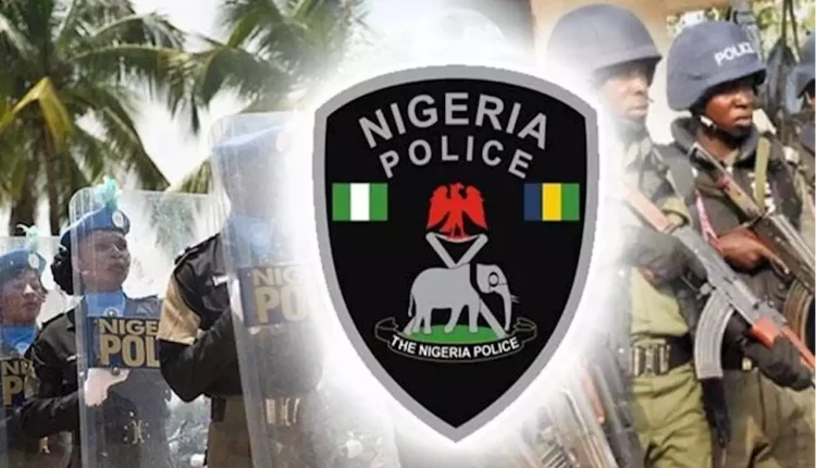 Police arrest 100 suspects for kidnapping, others in Bauchi 
