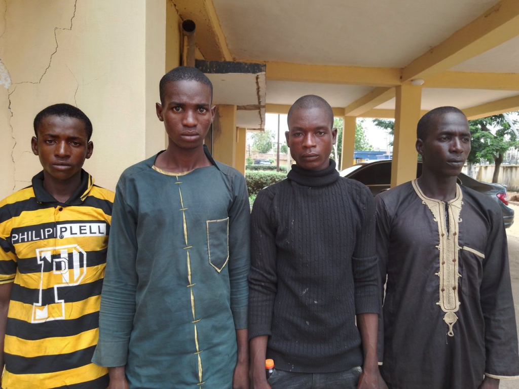 Police arrest 4 men for alleged cattle rustling, kidnapping in Adamawa