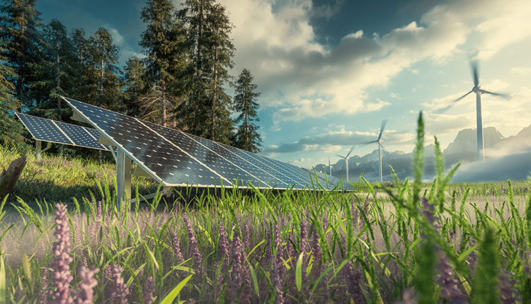 Association urges stakeholders to leverage Nigeria’s renewable energy opportunities