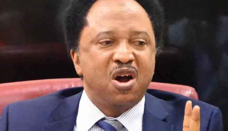 Implications of ECOWAS military invasion of Niger for Nigeria – Sen. Sani