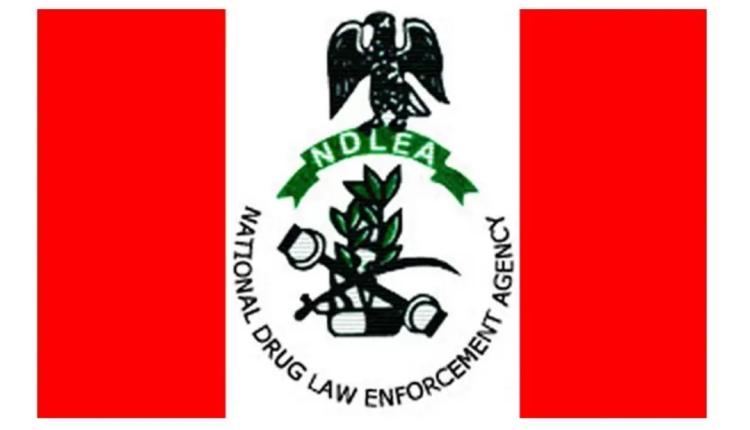 NDLEA intercepts psychotropic drugs, arrests 3 alleged distributors in Kwara