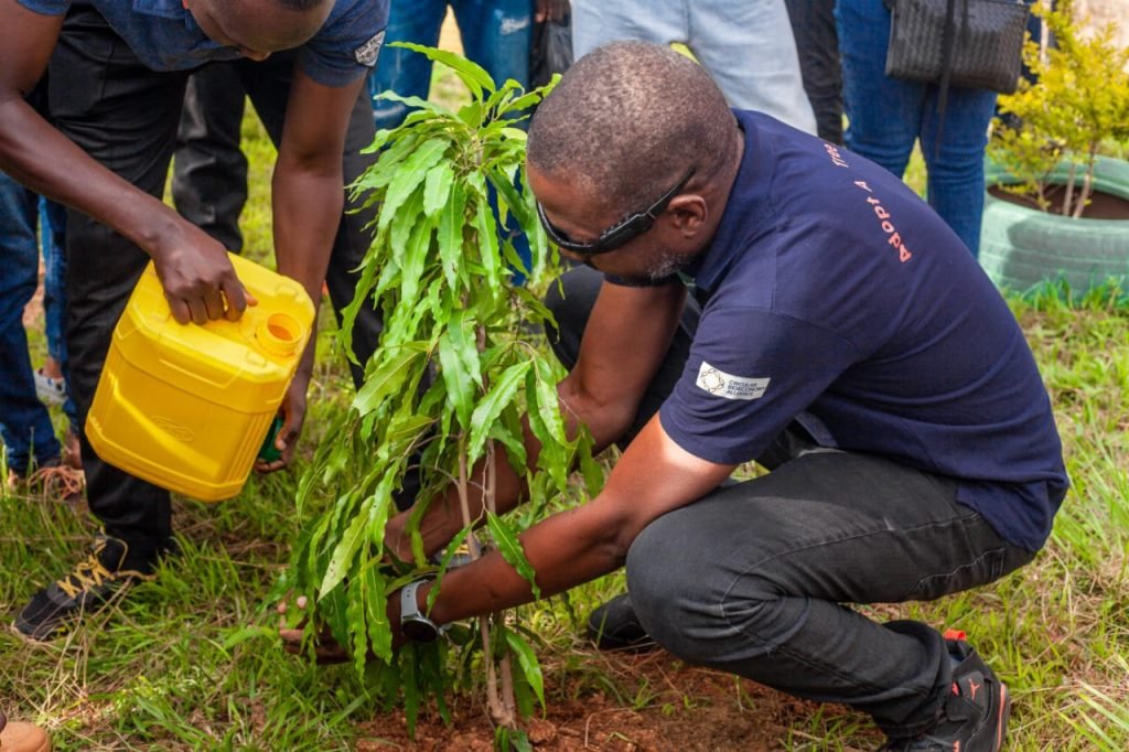 Climate Change: Green Sahara Farms plants 386,000 trees – MD