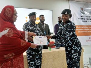 GBV: Police to partner UNFPA in Borno