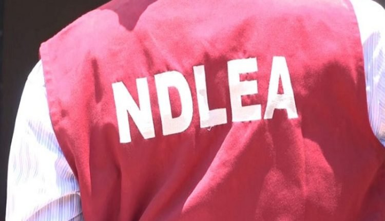 NDLEA intercepts skunk, laughing gas consignments at Lagos airport