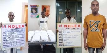 NDLEA intercepts skunk, laughing gas consignments at Lagos airport