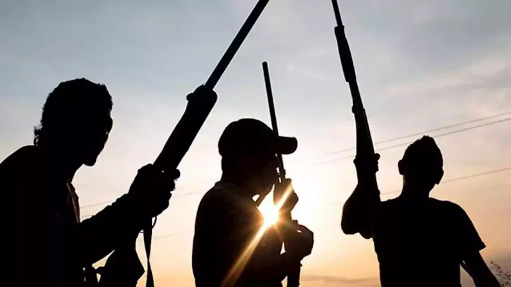 Proceeds of kidnapping being used to finance terrorism – ONSA