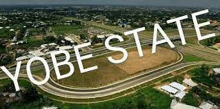 Yobe Govt. directs IOs to join NIPR
