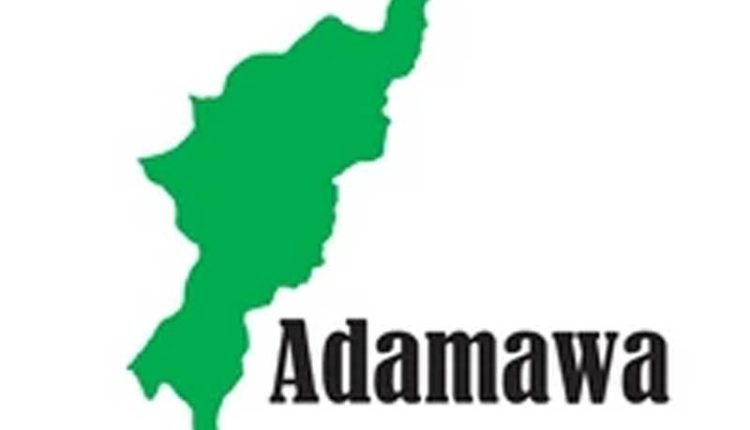 Adamawa healthcare agency trains 20 on magt. of acute childhood illnesses